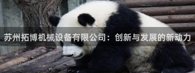 鸿运策略平台