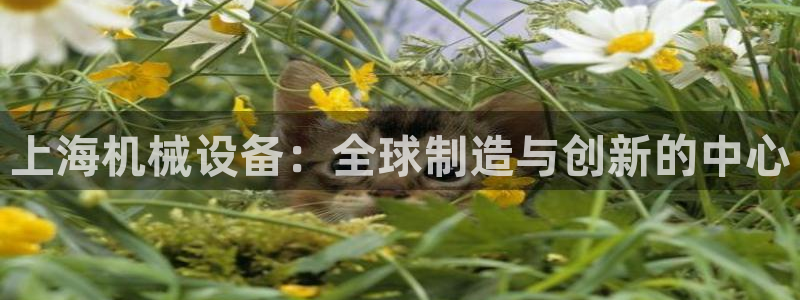 鸿运农场直播平台