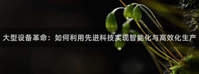鸿运食品团购平台