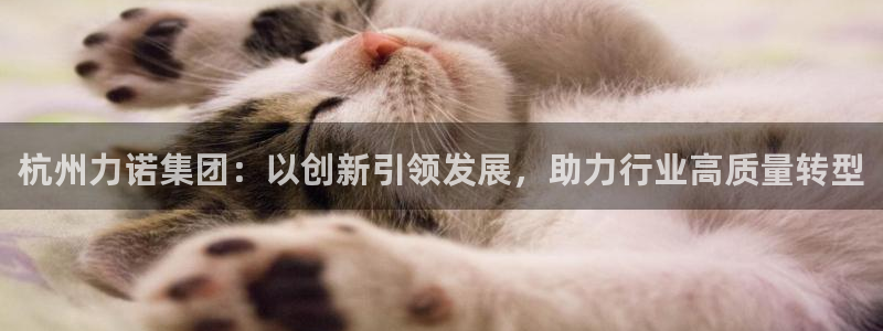 琥珀鸿运是个国际平台吗
