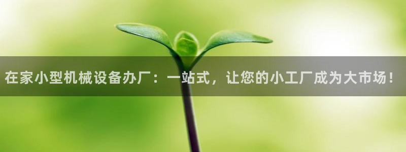 鸿运国际是什么游戏平台