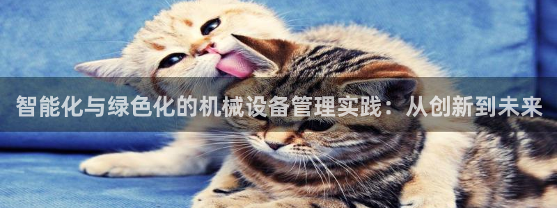 琥珀鸿运平台推广码