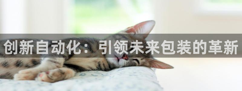 鸿运兄弟创造平台