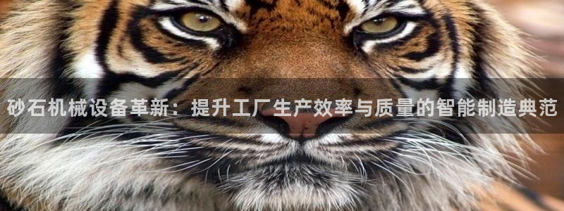 国际鸿运手机版平台