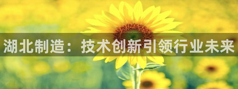 鸿运棋牌app平台