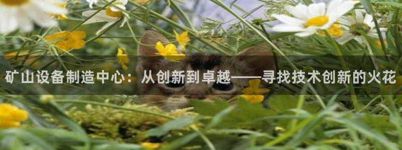 鸿运街物业平台