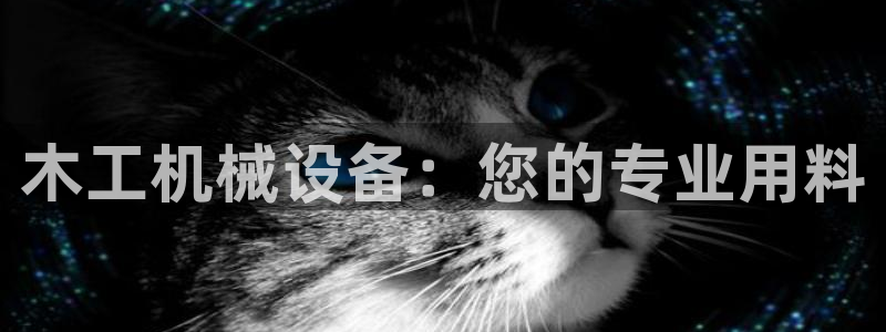 鸿运外贸直播平台