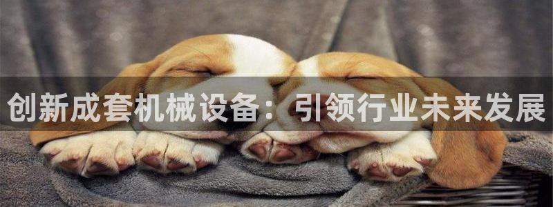 鸿运平台娱乐