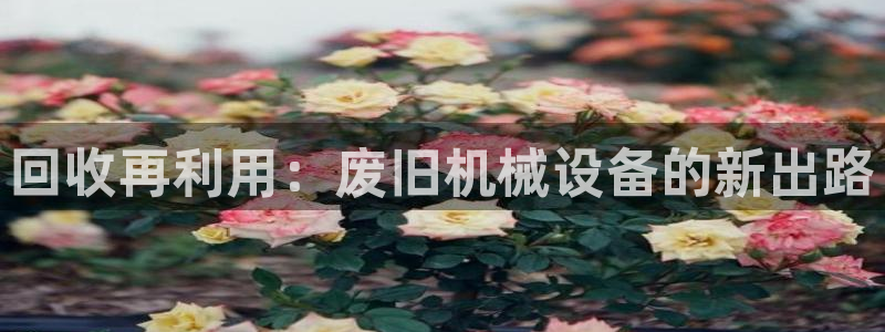 祝火山平台鸿运