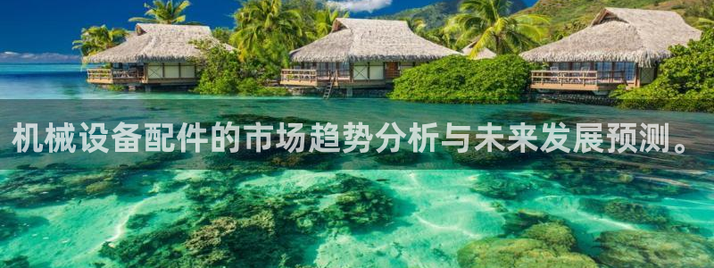 鸿运市场直播平台