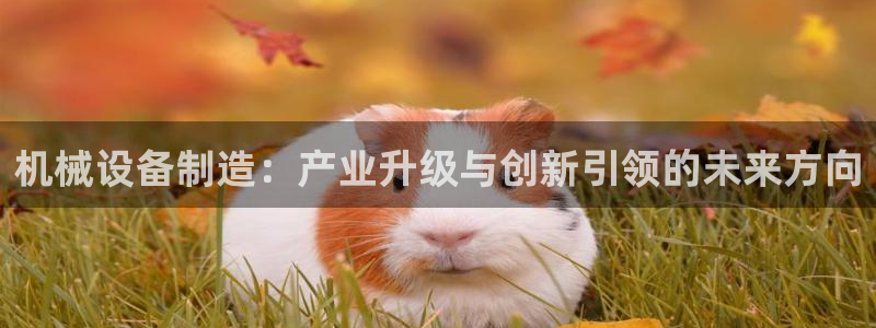 鸿运连连平台