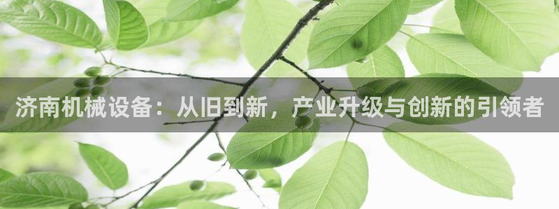 鸿运是什么平台