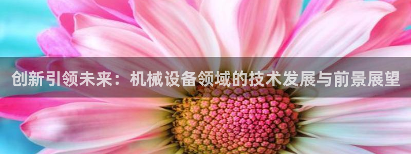 鸿运平台进入