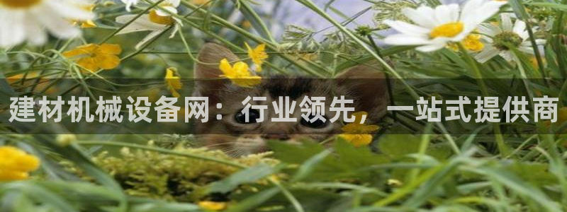 琥珀鸿运是怎样的平台