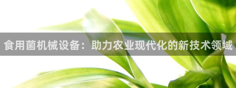 鸿运合拍平台