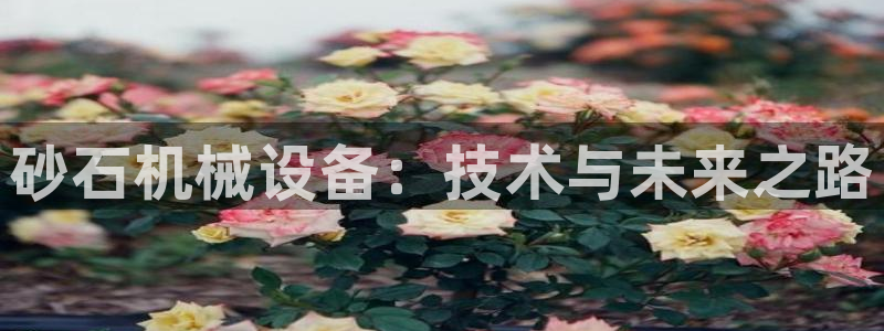 鸿运平台攻略