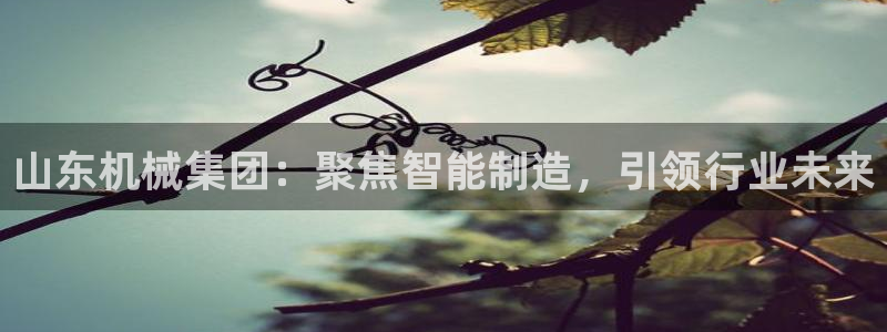 鸿运注册平台是什么