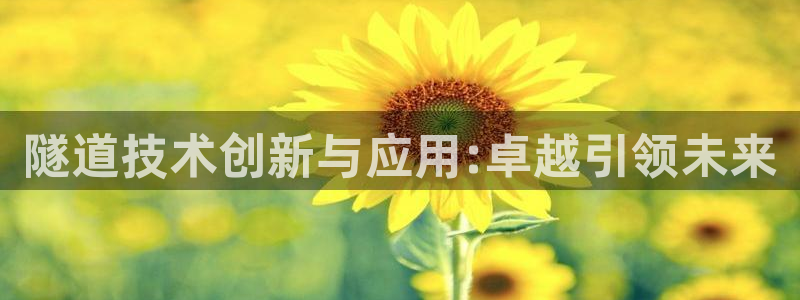 鸿运服务平台