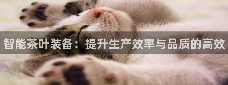 鸿运赌场视讯平台