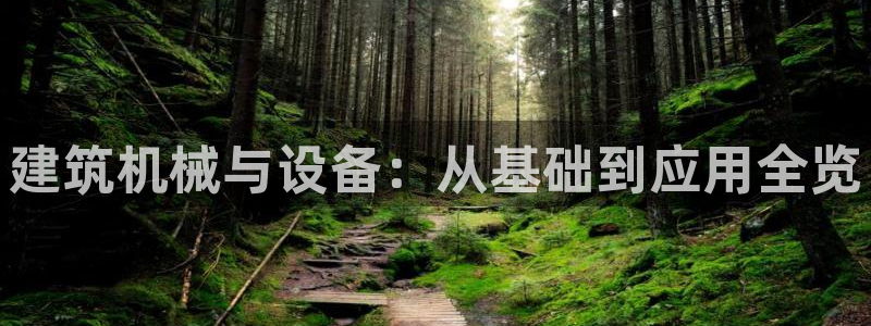 鸿运市场直播平台