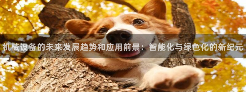 鸿运牛骨服务平台