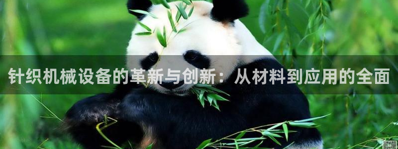 鸿运国际赌场平台