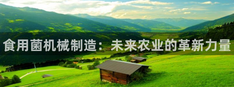 正规鸿运国际平台