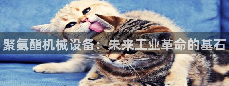 鸿运游戏直播平台