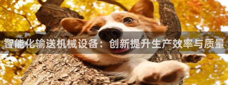 鸿运彩票网络平台下载