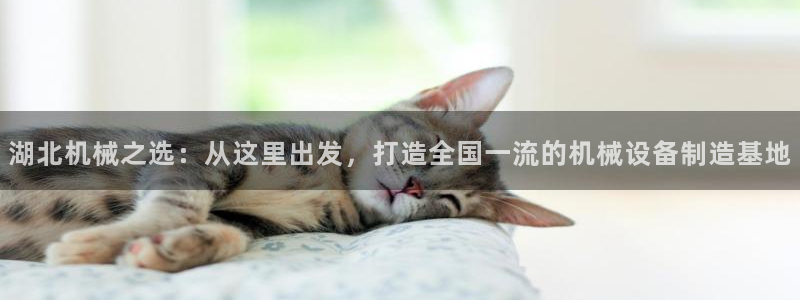 鸿运广告平台