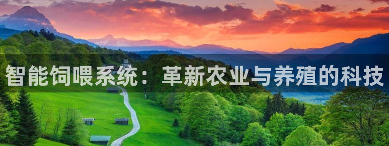 鸿运平台审核需要多久