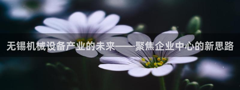鸿运体育平台网址
