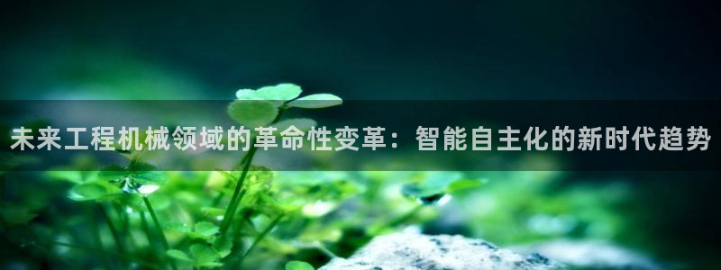 琥珀鸿运诈骗平台