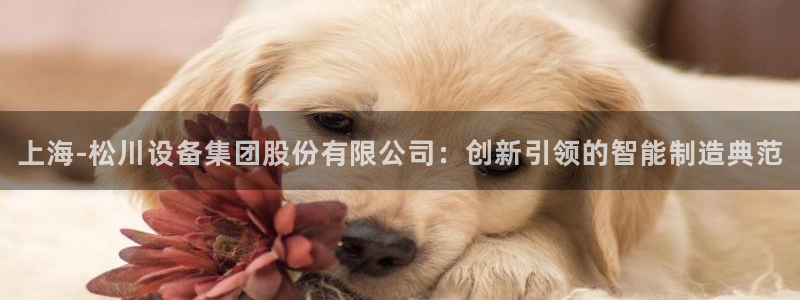 鸿运信投是平台
