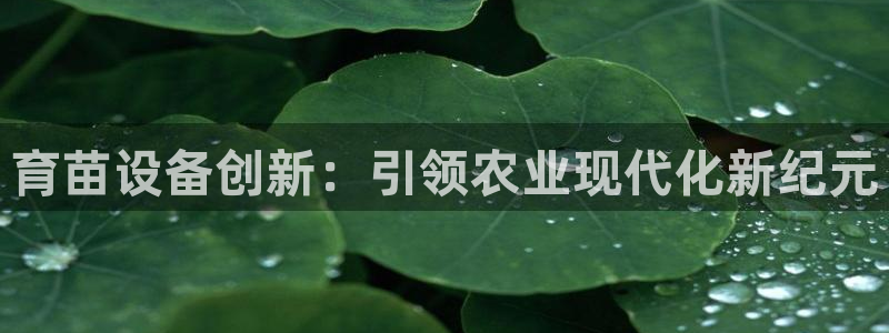鸿运通平台