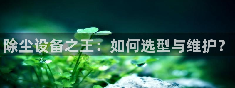 鸿运菜瞟平台