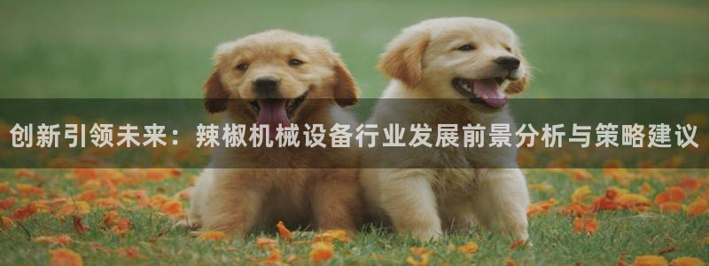 鸿运到平台兼职