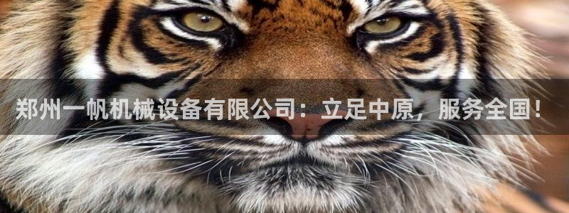 鸿运物流信息平台