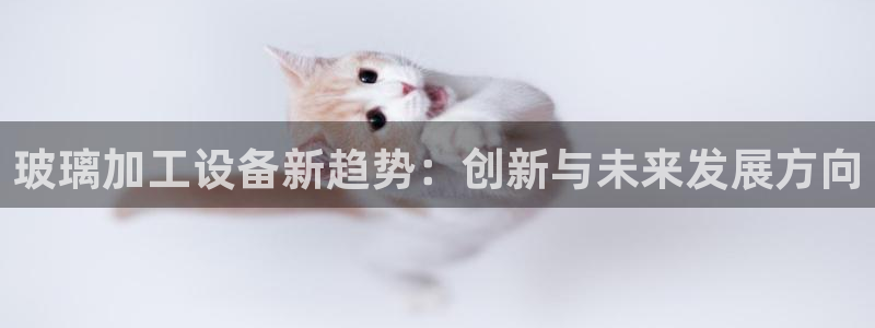 鸿运投资平台是什么