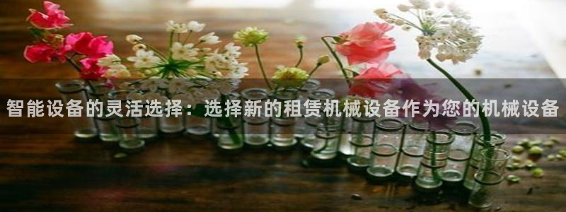 鸿运国际网址平台