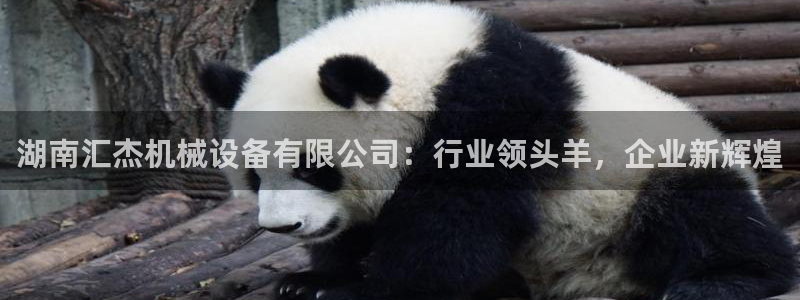 鸿运聊平台