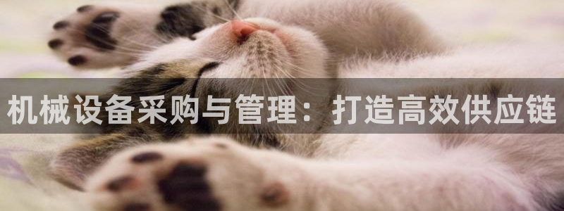 鸿运电商平台茶