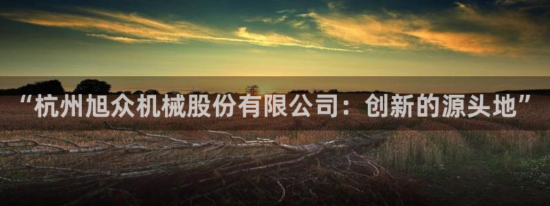 琥珀鸿运平台多久了