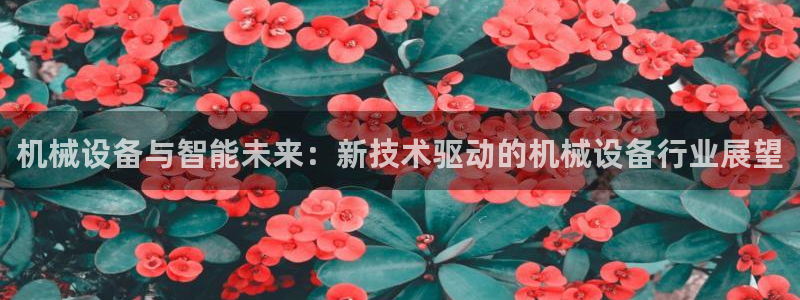 鸿运彩票专业购采平台