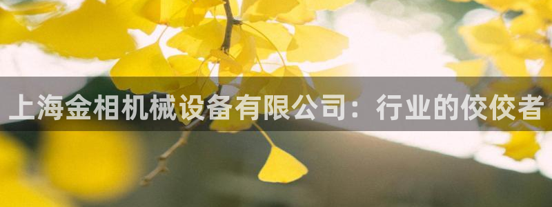 鸿运最新平台叫什么