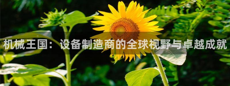 鸿运旧货交易平台