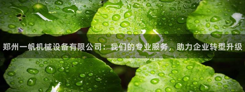 鸿运来投资平台