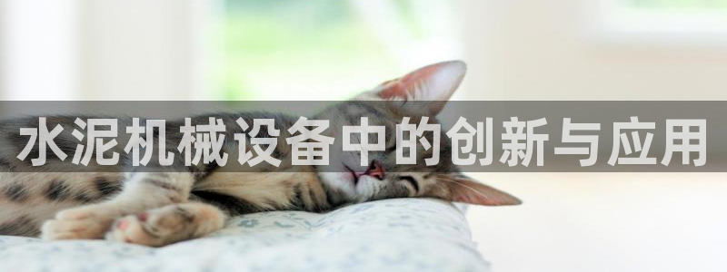 鸿运集团办公平台