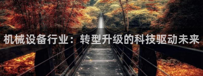鸿运平台投资诈骗