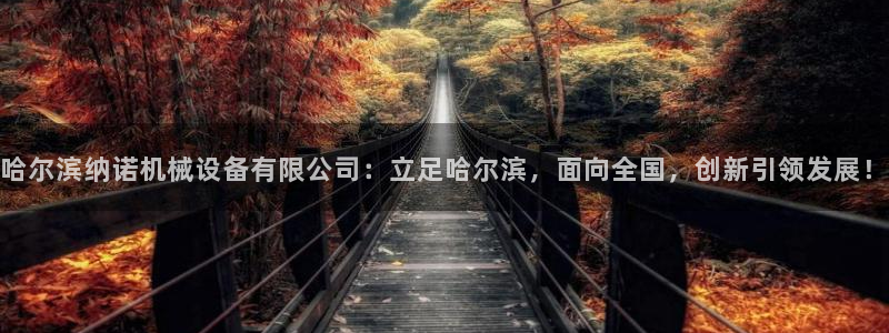 鸿运推广平台代理
